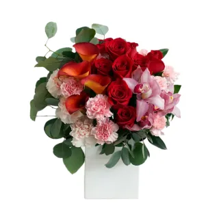 【CNFlower 西恩】粉庭園幻想曲 恆星花禮-小(送禮/永生花/浪漫/驚喜) 歷史價格詳細信息