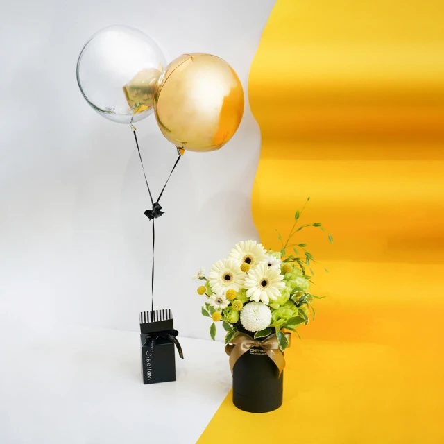 【CNFlower 西恩】聯名Berry & Bird 園藝防水墊換土墊換盆墊(送禮/園藝/園藝工具) 歷史價格詳細信息