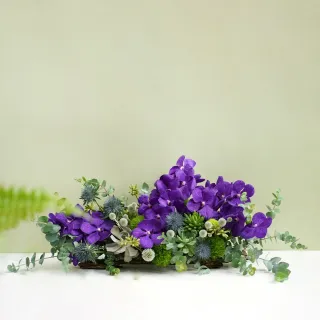 【CNFlower 西恩】ROSY CHRISTMAS TREE-藍 恆星花禮(送禮推薦/永生花/浪漫/驚喜/聖誕限定) 歷史價格詳細信息