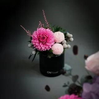 【CNFlower 西恩】SAY LOVE恆星戒盒-紫丁香(送禮/買花/恆星花/花禮/永生花) 歷史價格詳細信息