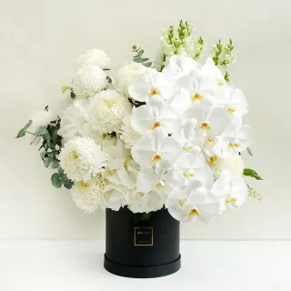 【CNFlower 西恩】SAY LOVE恆星戒盒-紫丁香(送禮/買花/恆星花/花禮/永生花) 歷史價格詳細信息