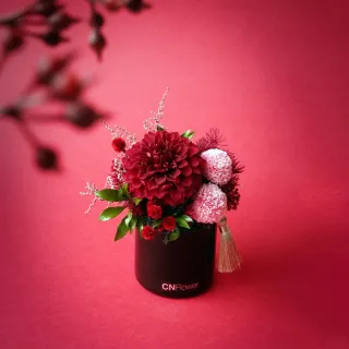 龍恩尚品特惠價★優質條紋跆拳道服上衣0670180510★ATAK 量大從優 歷史價格詳細信息