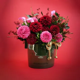 龍恩尚品特惠價★優質條紋跆拳道服上衣0670180510★ATAK 量大從優 歷史價格詳細信息