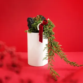 龍恩尚品特惠價★優質條紋跆拳道服上衣0670180510★ATAK 量大從優 歷史價格詳細信息