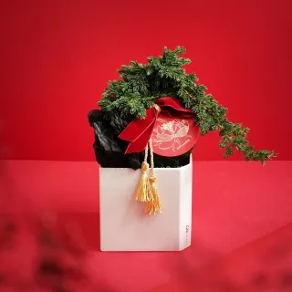 龍恩尚品特惠價★優質條紋跆拳道服上衣0670180510★ATAK 量大從優 歷史價格詳細信息