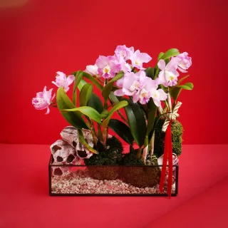 龍恩尚品特惠價★優質條紋跆拳道服上衣0670180510★ATAK 量大從優 歷史價格詳細信息