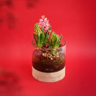 龍恩尚品特惠價★優質條紋跆拳道服上衣0670180510★ATAK 量大從優 歷史價格詳細信息