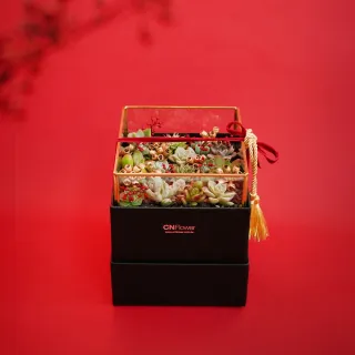 春節禮盒 - 西伯利亞松子禮盒組 歷史價格詳細信息