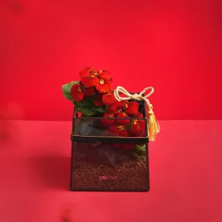 龍恩尚品特惠價★優質條紋跆拳道服上衣0670180510★ATAK 量大從優 歷史價格詳細信息