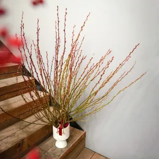 龍恩尚品特惠價★優質條紋跆拳道服上衣0670180510★ATAK 量大從優 歷史價格詳細信息