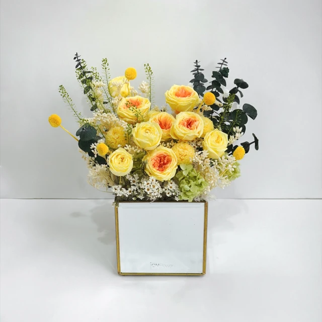 永生花大號玫瑰熊防塵展示罩子 高透明亞克力盒大號禮盒外罩 歷史價格詳細信息