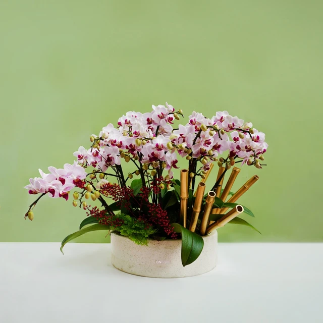 【居家擺飾】金邊透明玻璃收納筒(筆筒 筷子 置物架 小花瓶 化妝品 桌面桌上 餐具 刷具 辦公室 學生) 歷史價格詳細信息