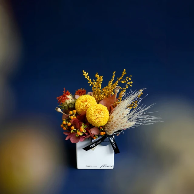 【CNFlower 西恩】浪漫時光 恆星花禮-大(送禮推薦/永生花/浪漫/驚喜) 歷史價格詳細信息