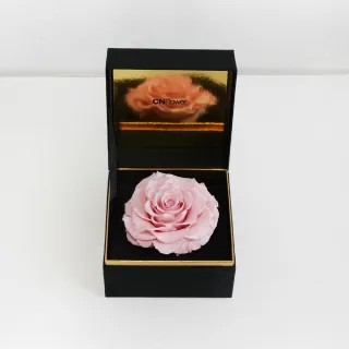 【CNFlower 西恩】粉庭園幻想曲 恆星花禮-小(送禮/永生花/浪漫/驚喜) 歷史價格詳細信息