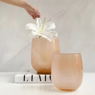 【西格傢飾】淨透溫感潔面儀(洗臉機 冷熱光導入儀 交換禮物) 歷史價格詳細信息