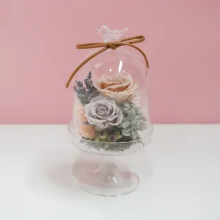 【CNFlower 西恩】星座恆星花2.0-12星座 升級皮革外盒 質感送禮(送禮/買花/恆星花/花禮/星座/生日禮) 歷史價格詳細信息