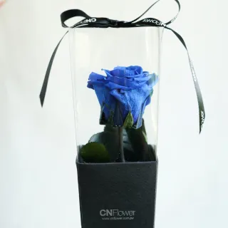 【CNFlower 西恩】玫瑰森林 恆星花禮-含聖誕燈串(送禮推薦/永生花/浪漫/驚喜) 歷史價格詳細信息