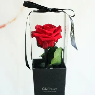 【CNFlower 西恩】玫瑰森林 恆星花禮-含聖誕燈串(送禮推薦/永生花/浪漫/驚喜) 歷史價格詳細信息
