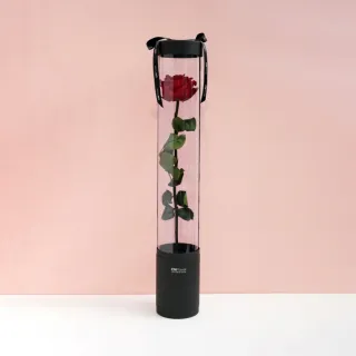【CNFlower 西恩】玫瑰森林 恆星花禮-含聖誕燈串(送禮推薦/永生花/浪漫/驚喜) 歷史價格詳細信息