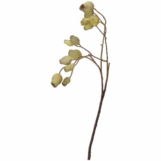 【NITORI 宜得利家居】網購限定 X型曬衣架  HALF WH EC(X型曬衣架 曬衣架 晾衣架 室內曬衣架 網購限定) 歷史價格詳細信息