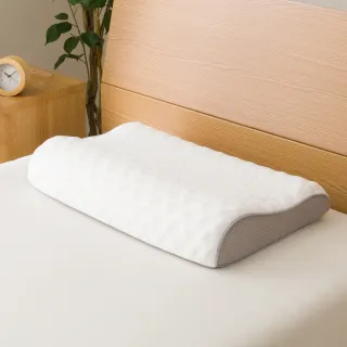 【NITORI 宜得利家居】接觸涼感 抱枕 黑貓 N COOL C TW(接觸涼感 涼感 抱枕 黑貓 N COOL) 歷史價格詳細信息