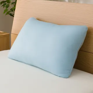【NITORI 宜得利家居】接觸涼感 抱枕 黑貓 N COOL C TW(接觸涼感 涼感 抱枕 黑貓 N COOL) 歷史價格詳細信息