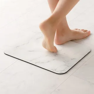 【NITORI 宜得利家居】軟式珪藻土廚用吸水墊 22×40 YG(軟式珪藻土 珪藻土 吸水墊) 歷史價格詳細信息