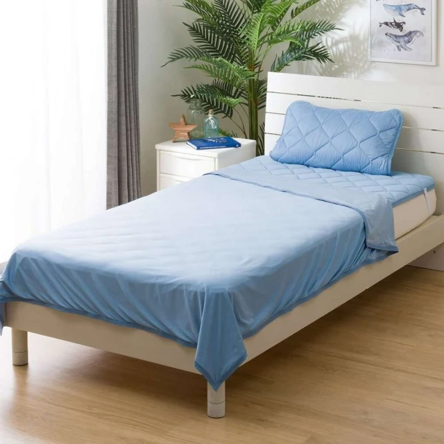 BL進化論〔對談篇〕：透過BL研究家與創作者的對話，考察BL的進化與社會關係<啃書> 歷史價格詳細信息