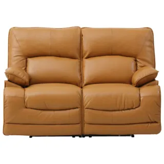 【NITORI 宜得利家居】◎半皮2人用沙發 CAPUCCINO(半皮 沙發) 歷史價格詳細信息