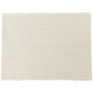 【NITORI 宜得利家居】軟式珪藻土廚用吸水墊 22×40 YG(軟式珪藻土 珪藻土 吸水墊) 歷史價格詳細信息
