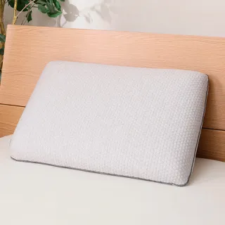 【NITORI 宜得利家居】抱枕心 記憶泡棉3 45×45用(枕心 記憶泡棉) 歷史價格詳細信息