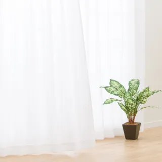 【NITORI 宜得利家居】附隔板長型微波保鮮盒 1000ML(保鮮盒 微波保鮮盒) 歷史價格詳細信息