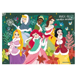 【HUNDRED PICTURES 百耘圖】Disney Princess公主拼圖300片(迪士尼) 歷史價格詳細信息