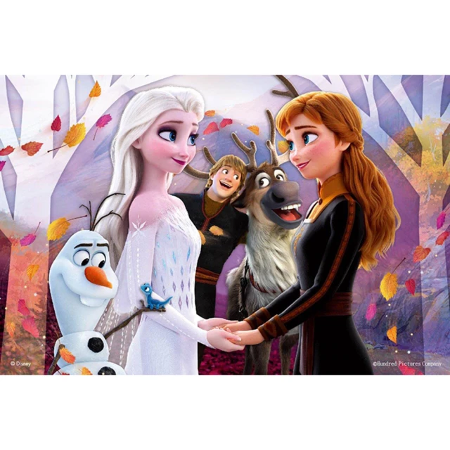 Frozen2冰雪奇緣2(1)拼圖108片 歷史價格詳細信息