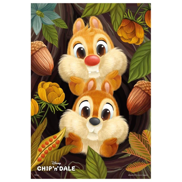 百耘圖 - Chip an' Dale 奇奇蒂蒂(4) 1000片拼圖 HPD01000-128 歷史價格詳細信息