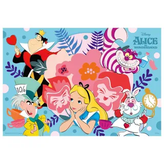 【花卉系列】愛麗絲夢遊仙境拼圖300片-HPD0300S-177 歷史價格詳細信息