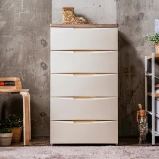 日本 IRIS 木質可掀門堆疊櫃 W60xH40cm 深木色 歷史價格詳細信息