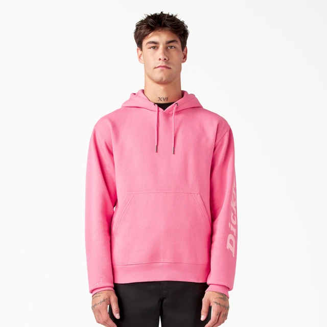 【Dickies】BCA 聯名－男款黑色單袖大Logo品牌文字印花休閒連帽大學T｜DK012217BLK 歷史價格詳細信息