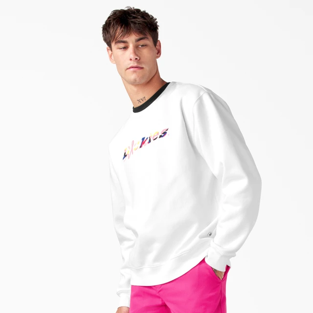 【Dickies】BCA 聯名－男款黑色單袖大Logo品牌文字印花休閒連帽大學T｜DK012217BLK 歷史價格詳細信息