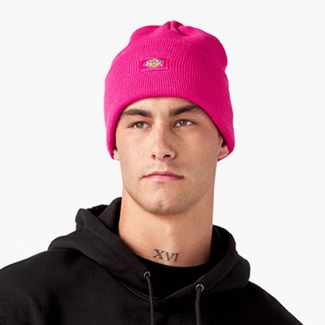 【Dickies】BCA 聯名－男款黑色單袖大Logo品牌文字印花休閒連帽大學T｜DK012217BLK 歷史價格詳細信息