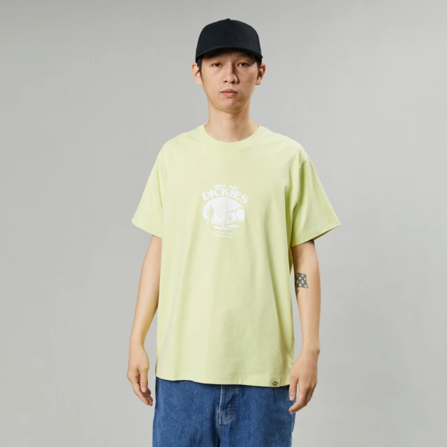 【Dickies】女款灰綠色條紋純棉胸前刺繡小圖案短版短袖T恤｜DK013070H14 歷史價格詳細信息