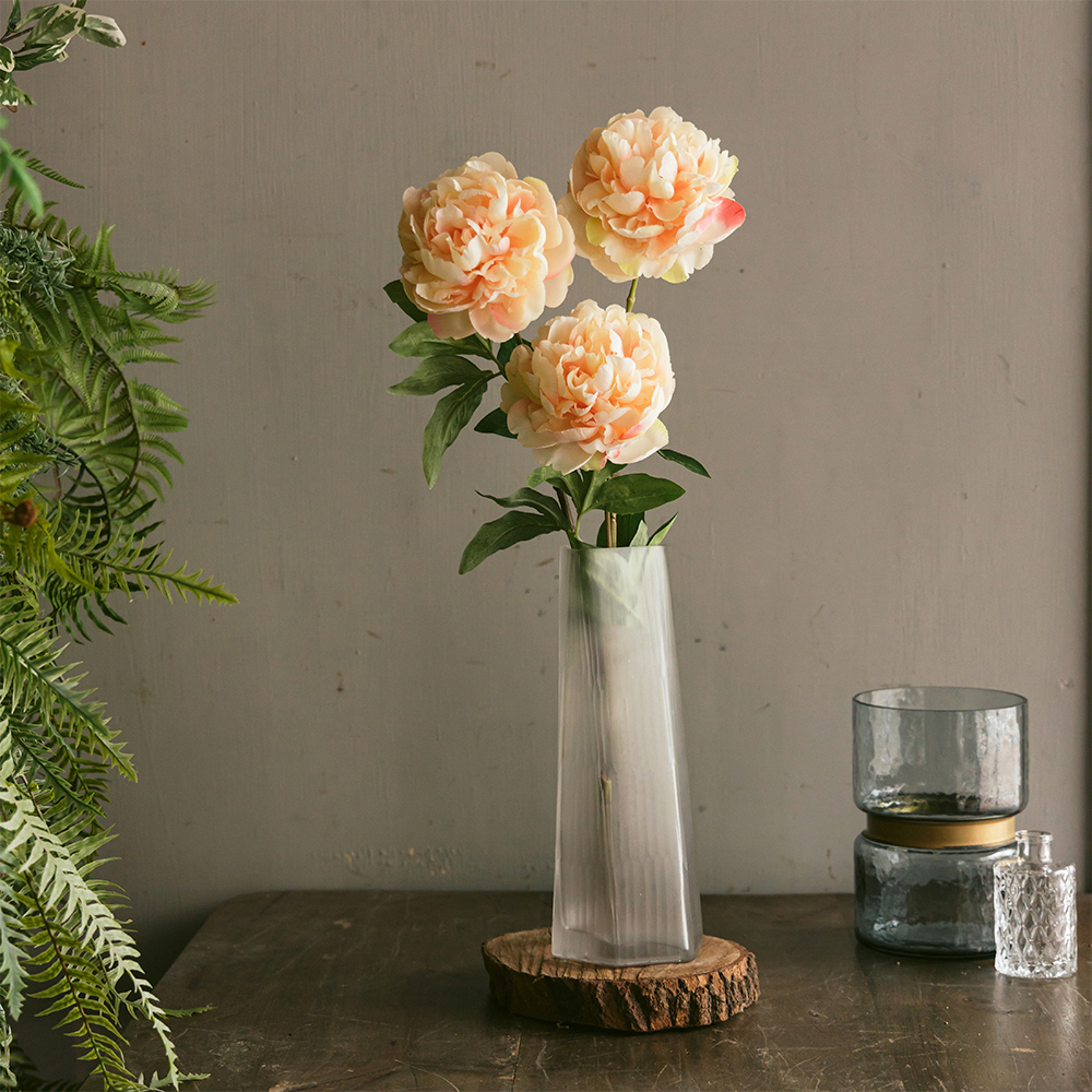 【花意空間】LED 弧型 │蕨醒生態瓶(植栽 淨化空氣 開幕送禮) 歷史價格詳細信息