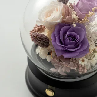 【花意空間】星點秋海棠仿真植栽(仿真植物 人造盆栽) 歷史價格詳細信息