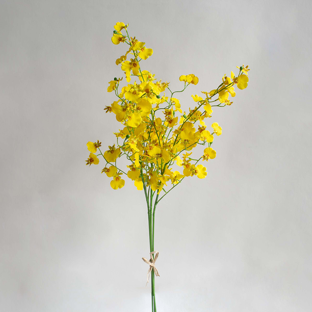 【花意空間】LED 弧型 │蕨醒生態瓶(植栽 淨化空氣 開幕送禮) 歷史價格詳細信息