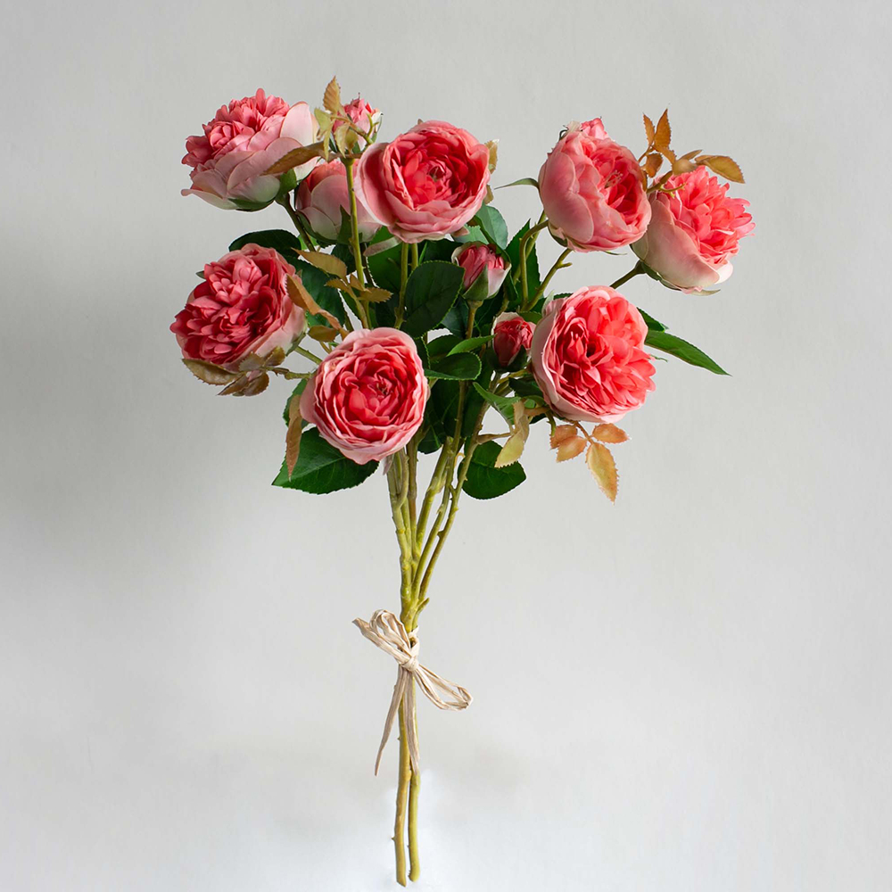 【花意空間】LED 弧型 │蕨醒生態瓶(植栽 淨化空氣 開幕送禮) 歷史價格詳細信息