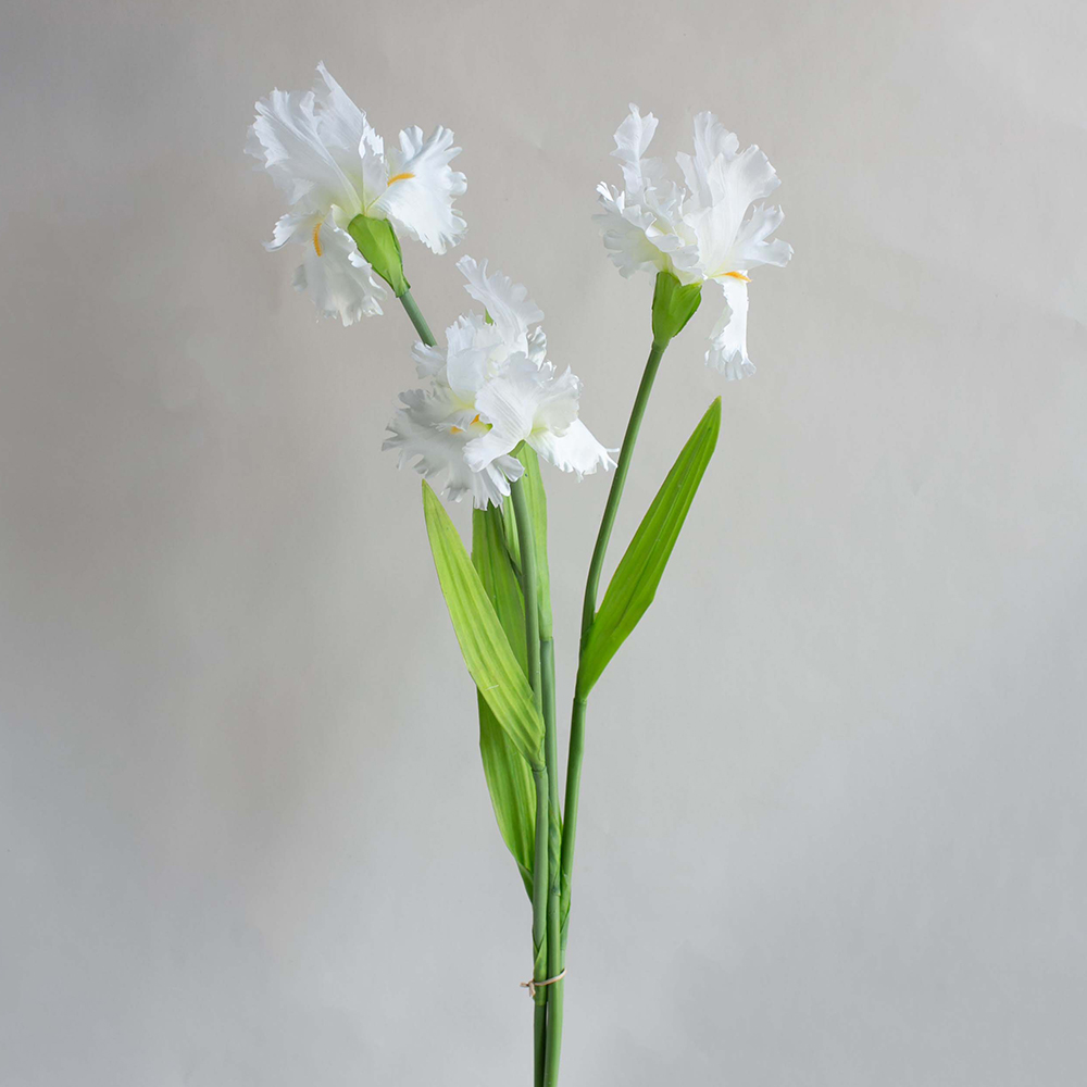 【花意空間】LED 弧型 │蕨醒生態瓶(植栽 淨化空氣 開幕送禮) 歷史價格詳細信息