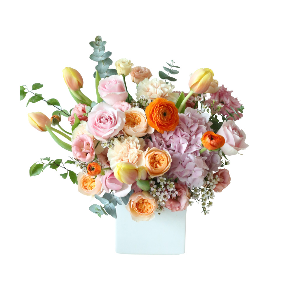 【花意空間】LED 弧型 │蕨醒生態瓶(植栽 淨化空氣 開幕送禮) 歷史價格詳細信息