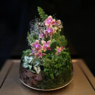 瓶中花束-藍色 歷史價格詳細信息