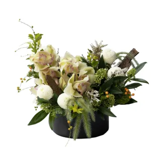 【花意空間】雀躍 盆花(開幕送禮 花禮) 價格比較,價格查詢,歷史價格詳細信息