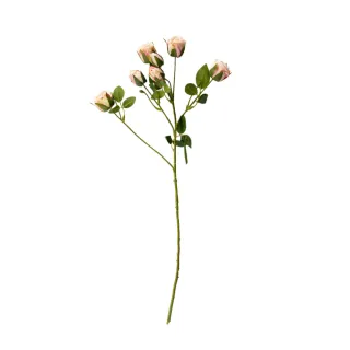 假花 永生花 造型髮圈 髮飾 髮圈 髮帶  黑色 向日葵 飾品 頭飾 歷史價格詳細信息